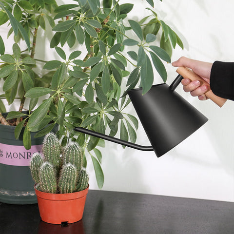 regadera noir en bois