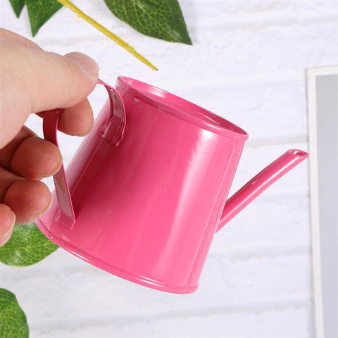 mini regadera en metal rose