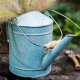 vieja regadera de metal