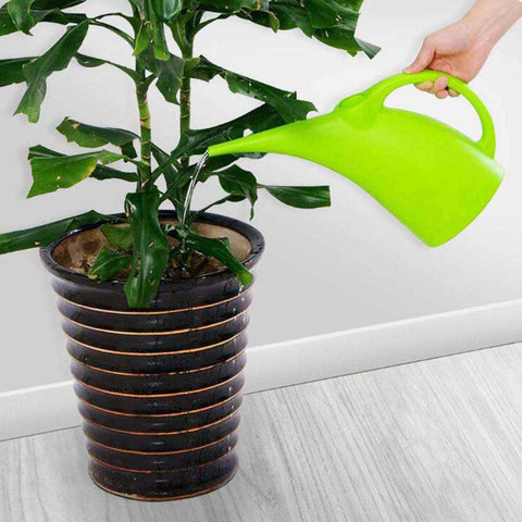 regadera d'intérieur Ergonomique - Regadera Diseño