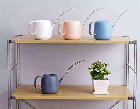 regadera bonsaï plastique