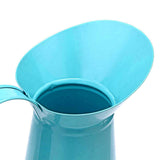 broc d'eau vintage regadera