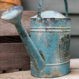 regadera grande con mango de metal 