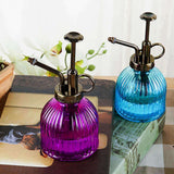 Brumisateur pour plantas