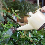 regadera manzana regadera