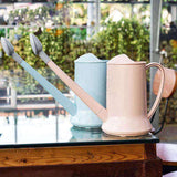 regadera de interior de diseño