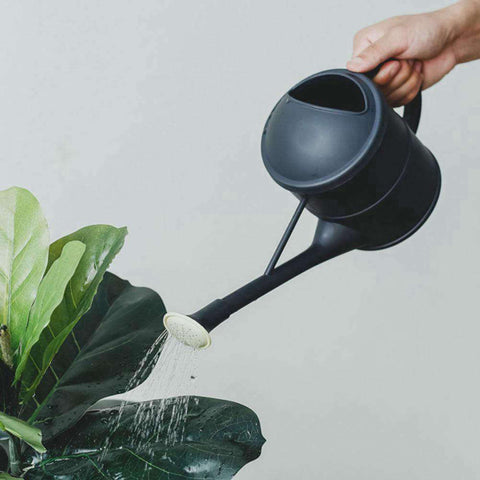 regadera d'intérieur plastique