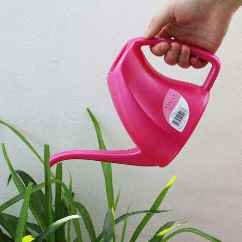 riego plante d'intérieur - Regadera Diseño