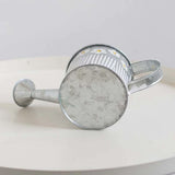 regadera métal galvanisé