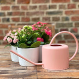 regadera rose 1 litre