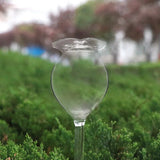 abrevoir plante verre 