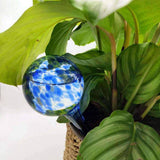 riego Goutte à goutte en Verre | Regadera Diseño