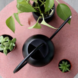 regadera intérieur bec fin