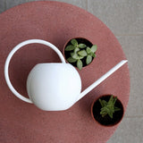 regadera blanc metal