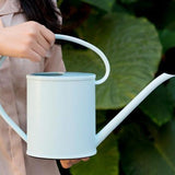 regadera bleu fantaisie