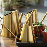 regadera d'intérieur Design : Doré | Regadera Diseño