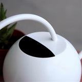 regadera en metal blanc