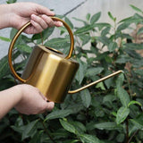 regadera metal doré