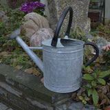 regadera Lyonnais en Zinc | Regadera Diseño