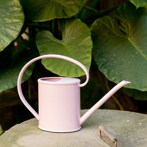 regadera fantaisie rose