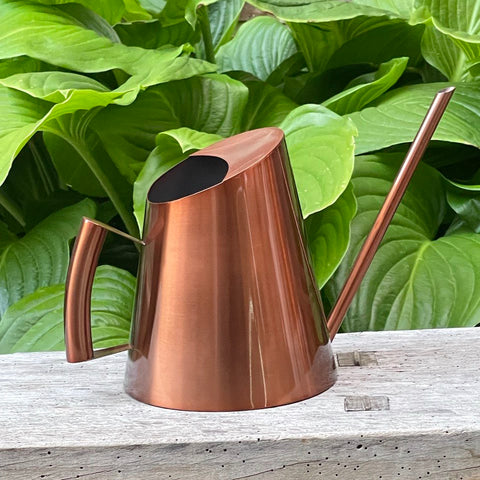 regadera d'intérieur Design : Cuivré