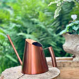 regadera intérieur design