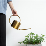 regadera métal doré