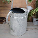 regadera Fleuri <br> en Zinc