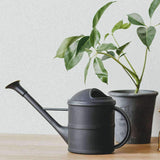 regadera Plastique Noir | Regadera Diseño