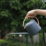 Regadera de plástico de diseño