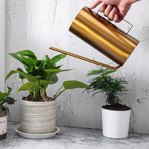 regadera pour plante intérieur