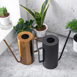 regadera pour plantas d'intérieur