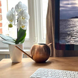 regadera rond design