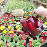 regadera Transparent | Regadera Diseño