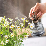 brumisateur pour plante