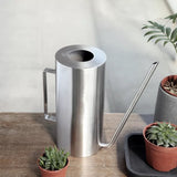 riego plante d'intérieur