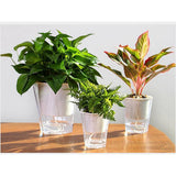 Pot d'riego automatique (Réserve d'eau) | Regadera Diseño