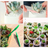 kit jardinage intérieur 