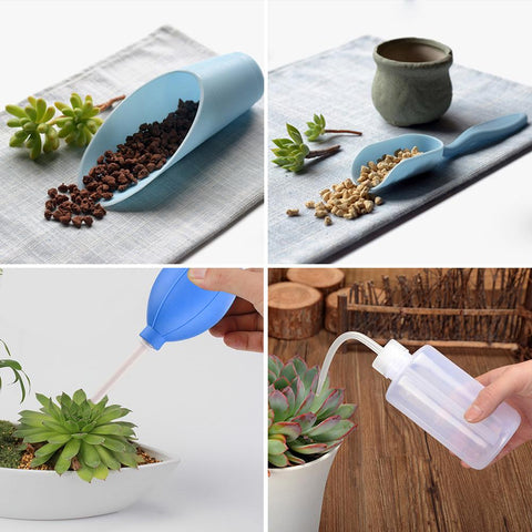 kit riego plante intérieur