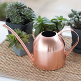 regadera Théière en inox - Regadera Diseño