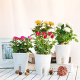 maceta hidropónica para plantas de interior