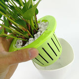 planta de interior hidropónica