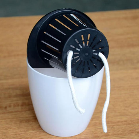 riego capillarité par mèche en coton