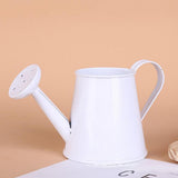 petit regadera de table