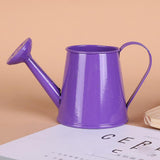 petit regadera déco