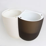 planta de interior en maceta independiente