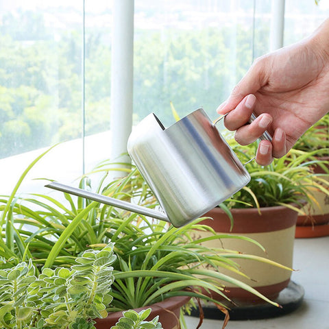 regadera Design d'intérieur inox