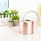 regadera rose métal