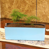 riego jardinière plantation aromatique 