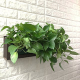 pot mural hydroponie